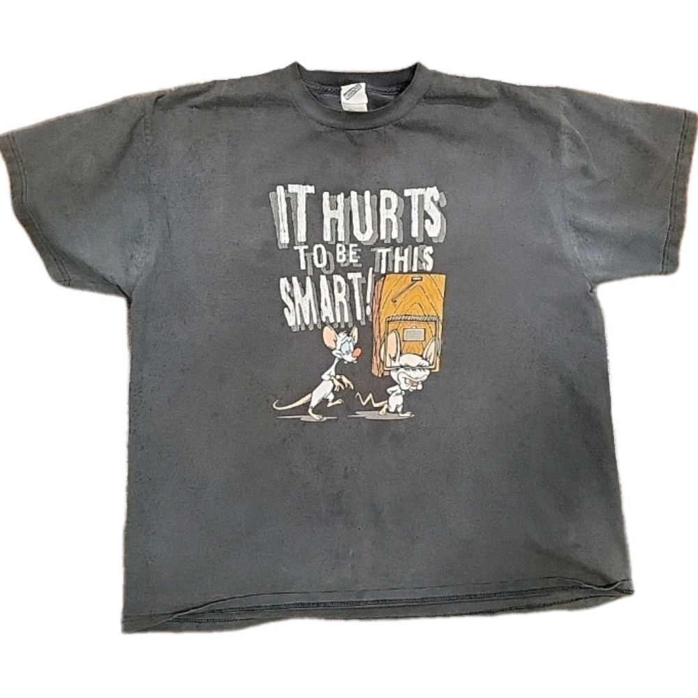 Vintage Pinky and The Brain T-Shirt Warmer Brothers 1999 *Stained*